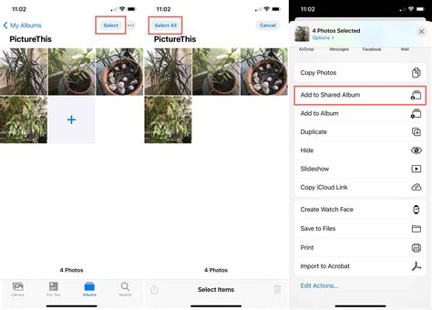 Guide How To Share An Album On Iphone