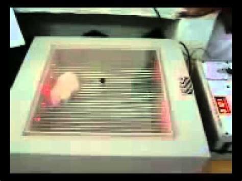 Activity test using Actophotometer - YouTube