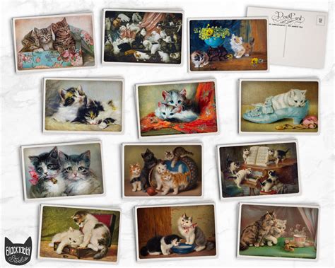 Vintage Cats - 24 Postcards – Black Tabby Studio