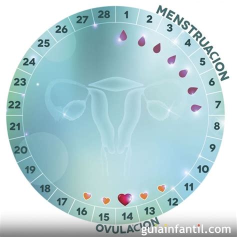 Tu Calendario Menstrual Herramienta Para Identificar Tus Dias Fertiles