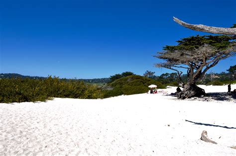 Carmel Beach - Carmel By The Sea - Simple Sojourns