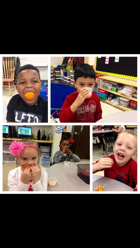 Pin by Eat Healthy, Eat Local, Eat at on Carrollton Elementary School | Elementary schools ...