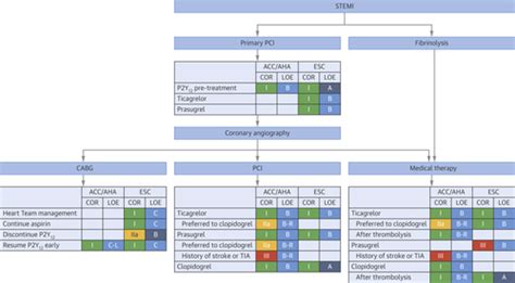 Acc Aha Versus Esc Guidelines On Dual Antiplatelet Therapy Jacc