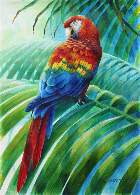 Scarlet Macaw On Palm Painting By Christopher Cox Fine Art America