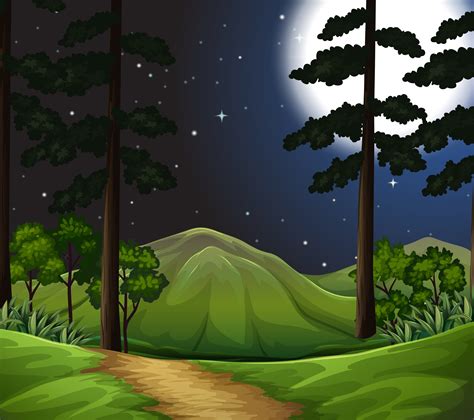 woods at night scene 292637 Vector Art at Vecteezy