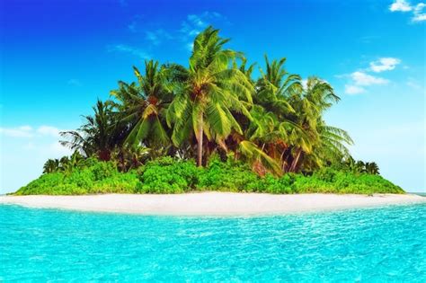 Île Tropicale Entière Dans L atoll Dans L océan Tropical île