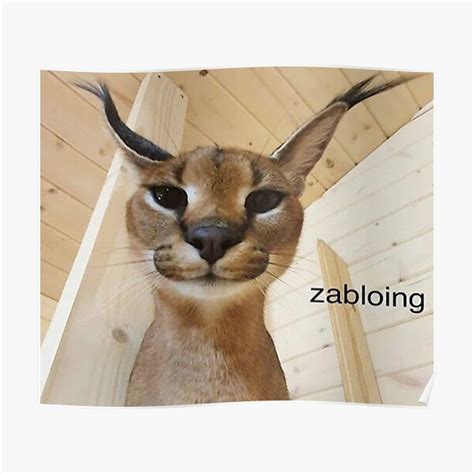 Zabloing Meme Poster For Sale By OLMP Redbubble