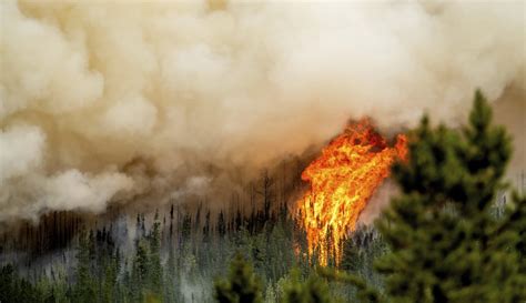 Kebakaran Hutan Di British Columbia Kanada Terus Berkobar Foto