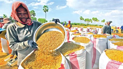 Cambodia S Economy Remains Robust In Despite Weakening Global