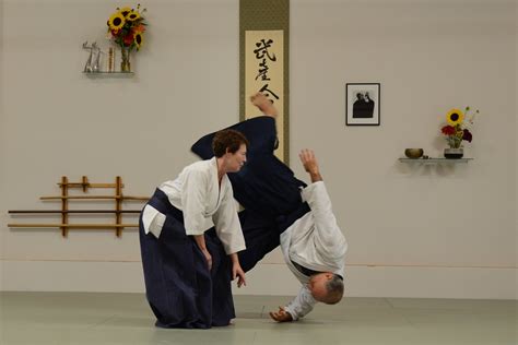 Two Cranes Aikido