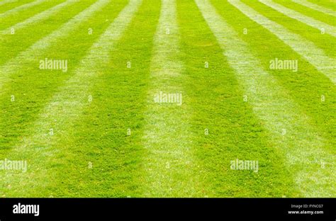 Lawn Green Mowed Cut Hi Res Stock Photography And Images Alamy