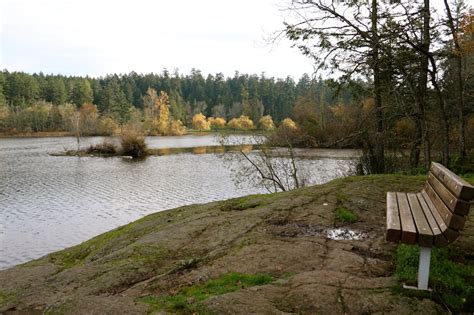 bench looking over Elk Lake, Victoria, BC – Visitor In Victoria