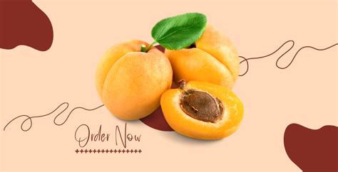 8 Incredible Health Benefits Of Khubani Apricots Healthy Master