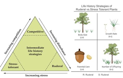 Chapter 2 Life History Strategies Applied Ecology