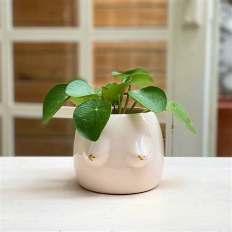 Boob Pot Etsy
