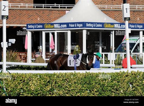 Horse Racing - Kempton Park Stock Photo - Alamy