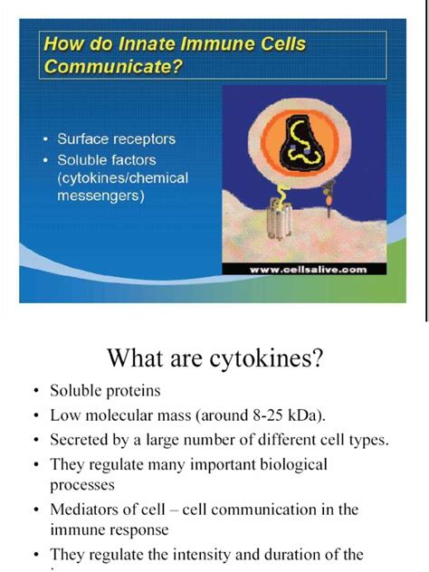 Cytokine Storm Pdf Inflammation Cytokine