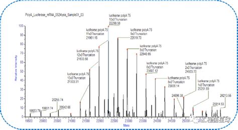 【耀文解读】mrna Polya尾分布检测：酶切处理与lc Ms分析 知乎