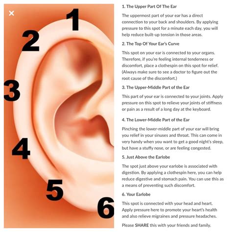 An easy pain relief method you can use by pinching your ears – Artofit