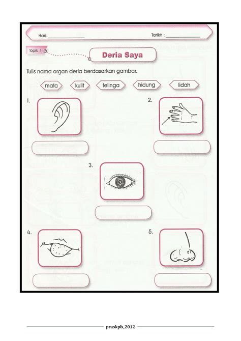 Aktiviti Sains Tahun Latihan Lembaran Kerja Sains Prasekolah 885 Themelower