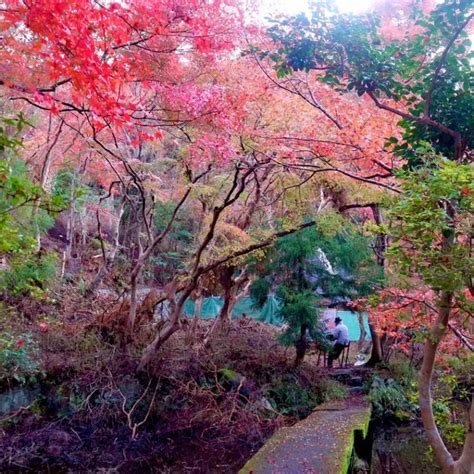 日本の秋ならではの絶景！秋のおすすめ景色23選