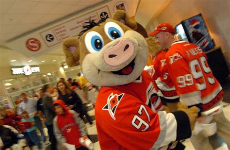 Why is Stormy, the Carolina Hurricanes’ mascot, a pig? | Charlotte Observer