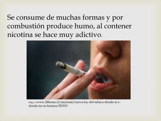 El Tabaco PPT