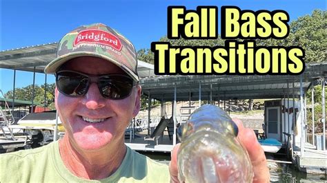 Every Video Youve Watched About The Fall Bass Transition Is Mostly Bs