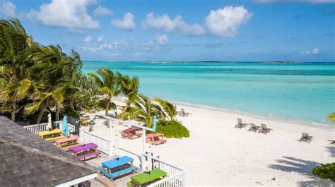 Shoreline Beach Club - Exuma Sea Grape - Apartments for Rent in Rolleville, Exuma, Bahamas - Airbnb