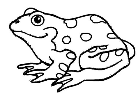 Amphibian Coloring Pages At Free Printable Colorings