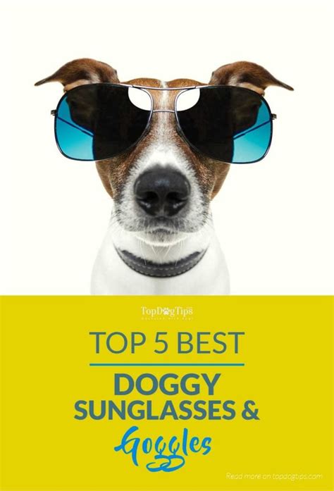 5 Best Dog Sunglasses (Anti UV Rays Goggles for Dogs)