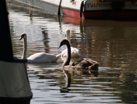 Pictures of Banbury, Oxfordshire, England | England Photography & History