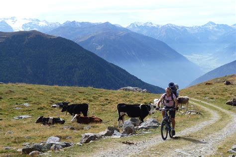 Tour Alla Malga Di Planol Vacanze In Mountain Bike In Alta Val