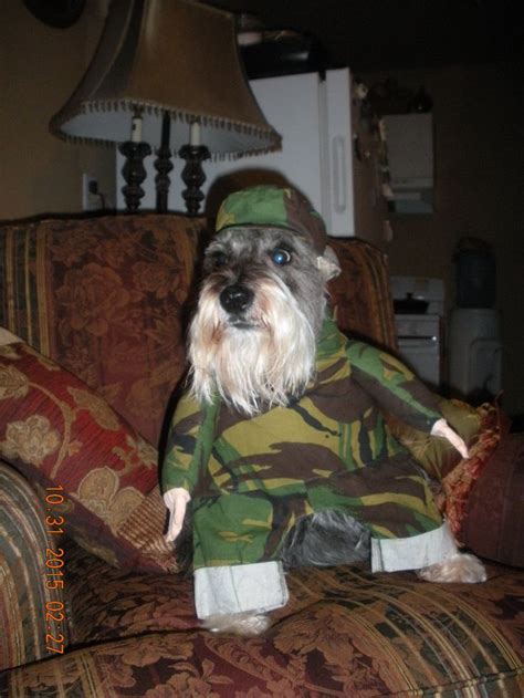 Soldier Dog Halloween Costume