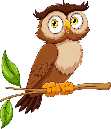 Owl Clip Art - Owl Images - Clip Art Library