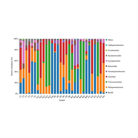 16S 18S ITS Amplicon Sequencing PacBio