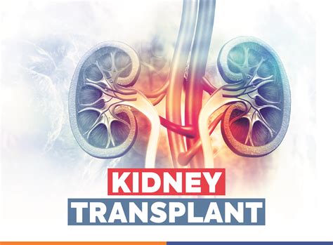 Best Liver & Kidney Trasplant Hospital in Noida, Delhi NCR