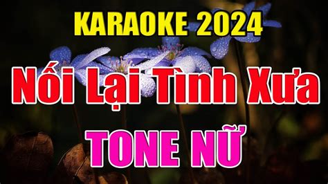 Karaoke N I L I T Nh X A Tone N Song L M Beat Youtube