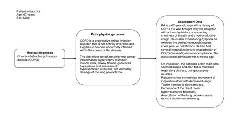 SOLUTION 0612 Copd Concept Map Studypool