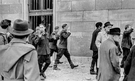 The 1956 Hungarian Revolution – in pictures | Revolution, Hungarian ...