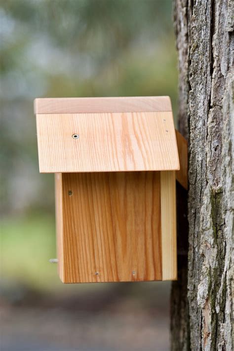 Tree Swallow Cedar bird house | Etsy