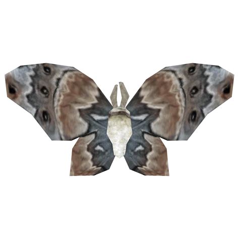 Ancestor Moth - Skyrim Wiki