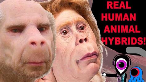 Human Monkey Hybrid Created In China Human Genetics Science