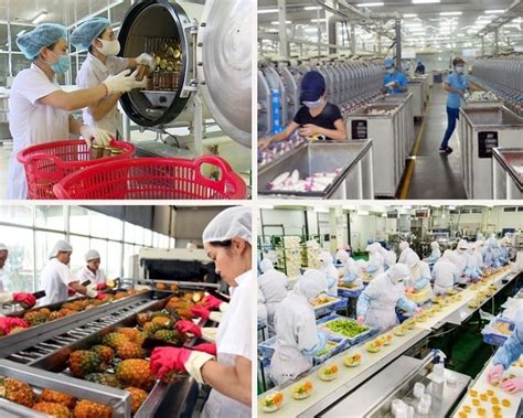 Vietnam Manpower Ldeal Partner For Labor Supply For The Food