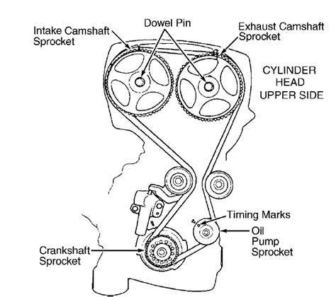 Timing belt diagram – Timing belt diagram maintenance replacement