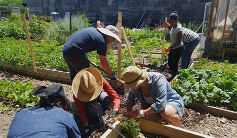 The People's Forum | FARM SCHOOL NYC CITYWIDE CERTIFICATE PROGRAM INFO SESSION | The People's Forum