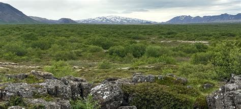 Green and pleasant Iceland: a deliberative journey towards ecological ...