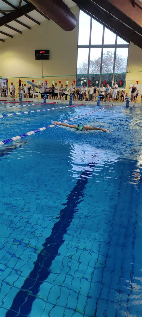 Comp Tition Interclub R Gionale Avenirs Asptt Orl Ans Natation Aquagym