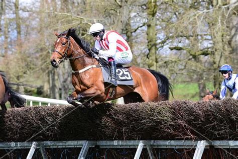 Fortis Mulier Profile And Updates Racehorse Ownership