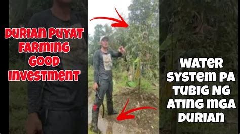 Durian Puyat Farming Patubig Sa Ating Mga Pananim Na Durian Puyat